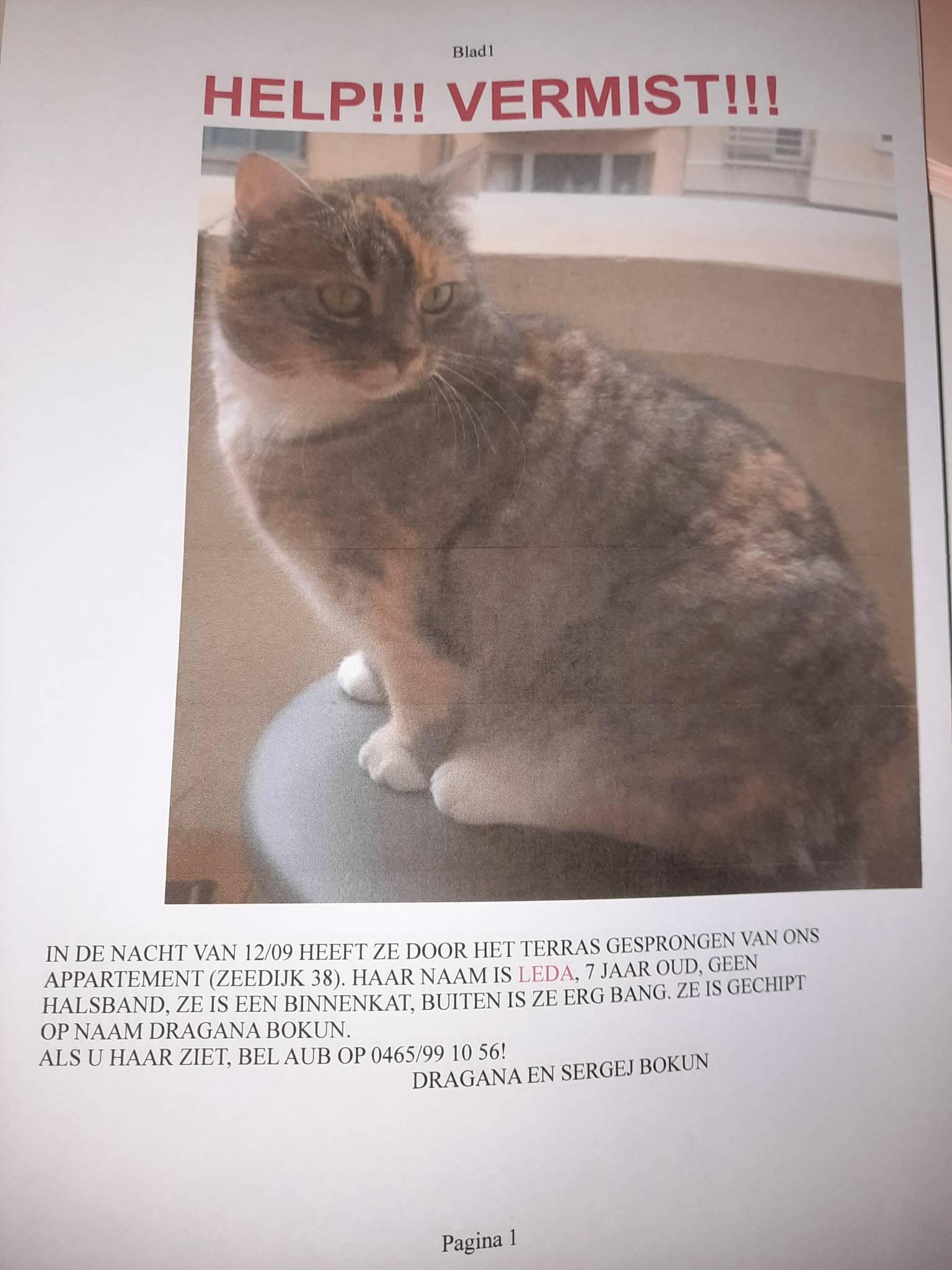 Teruggevonden dier