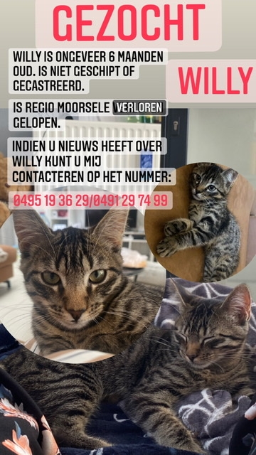 Teruggevonden dier