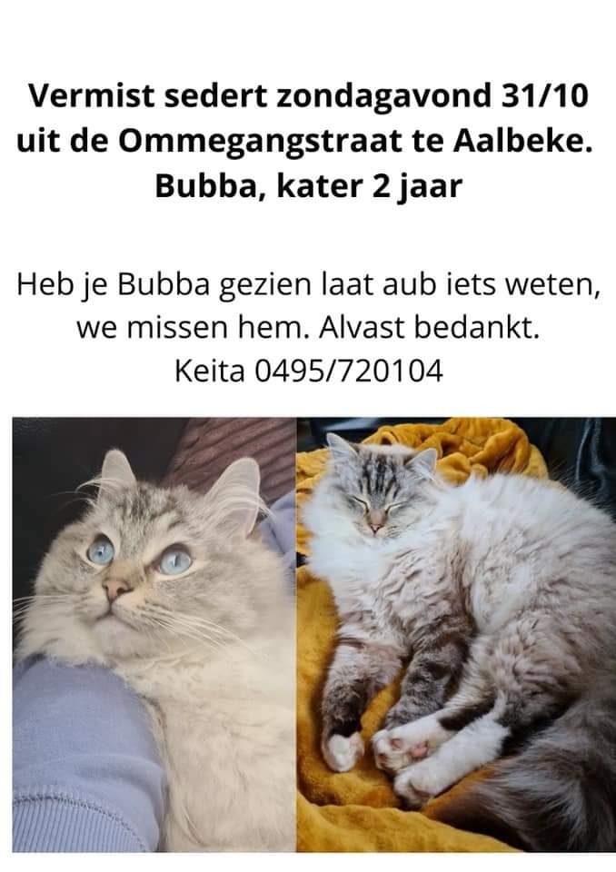 Teruggevonden dier