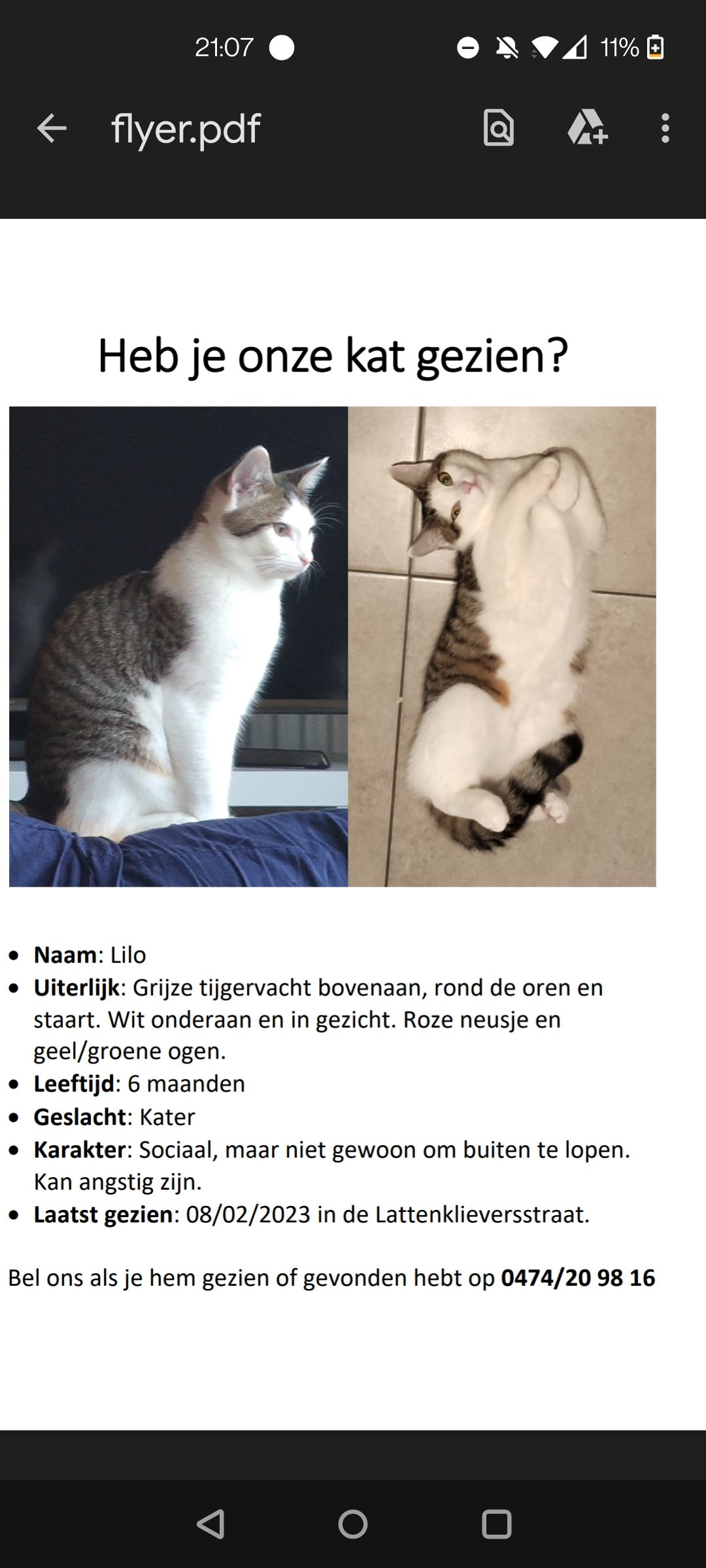 Teruggevonden dier
