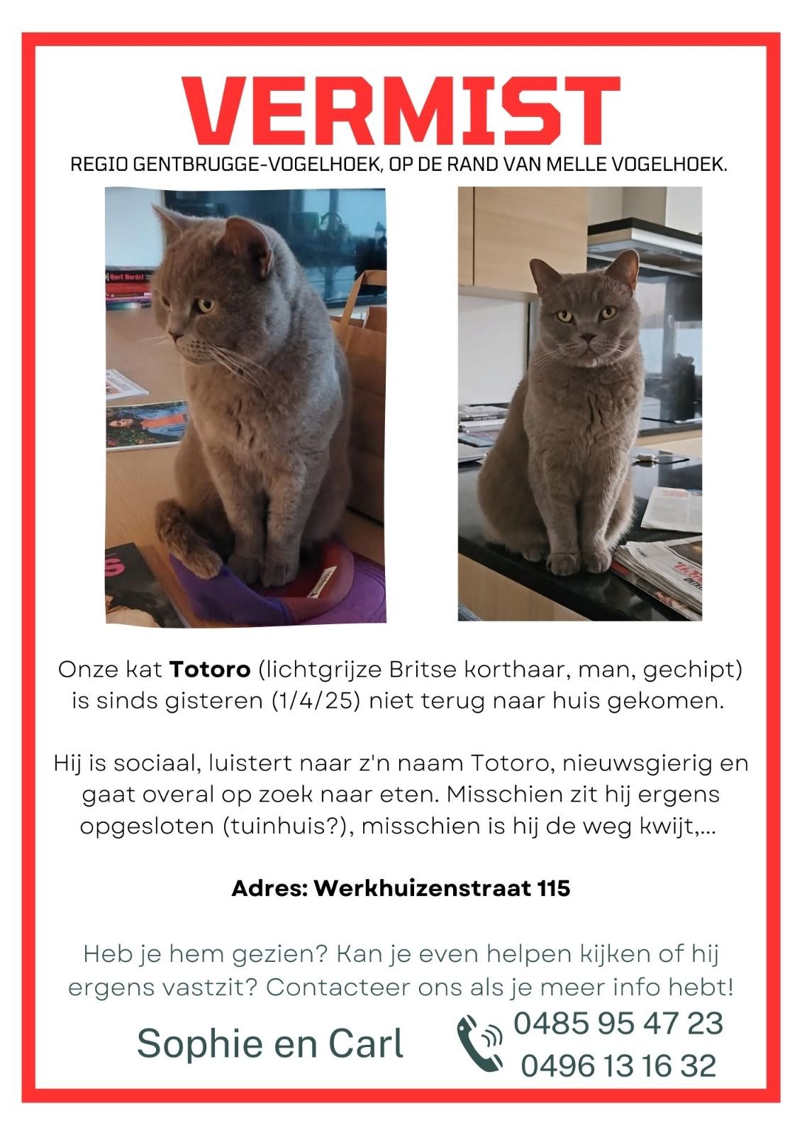 Teruggevonden dier