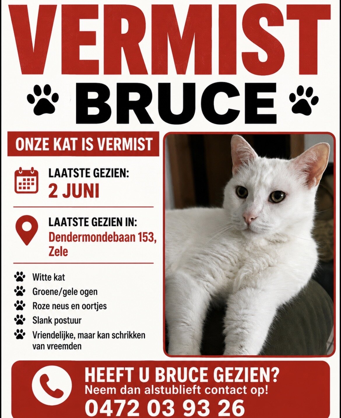 Foto van het dier