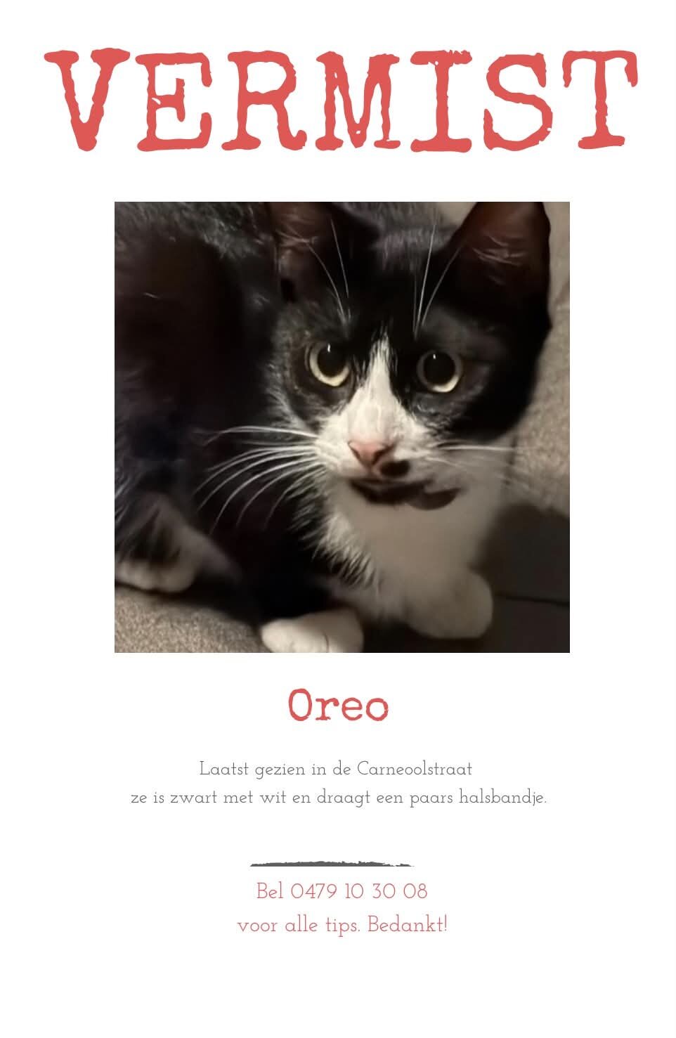 Foto van het dier