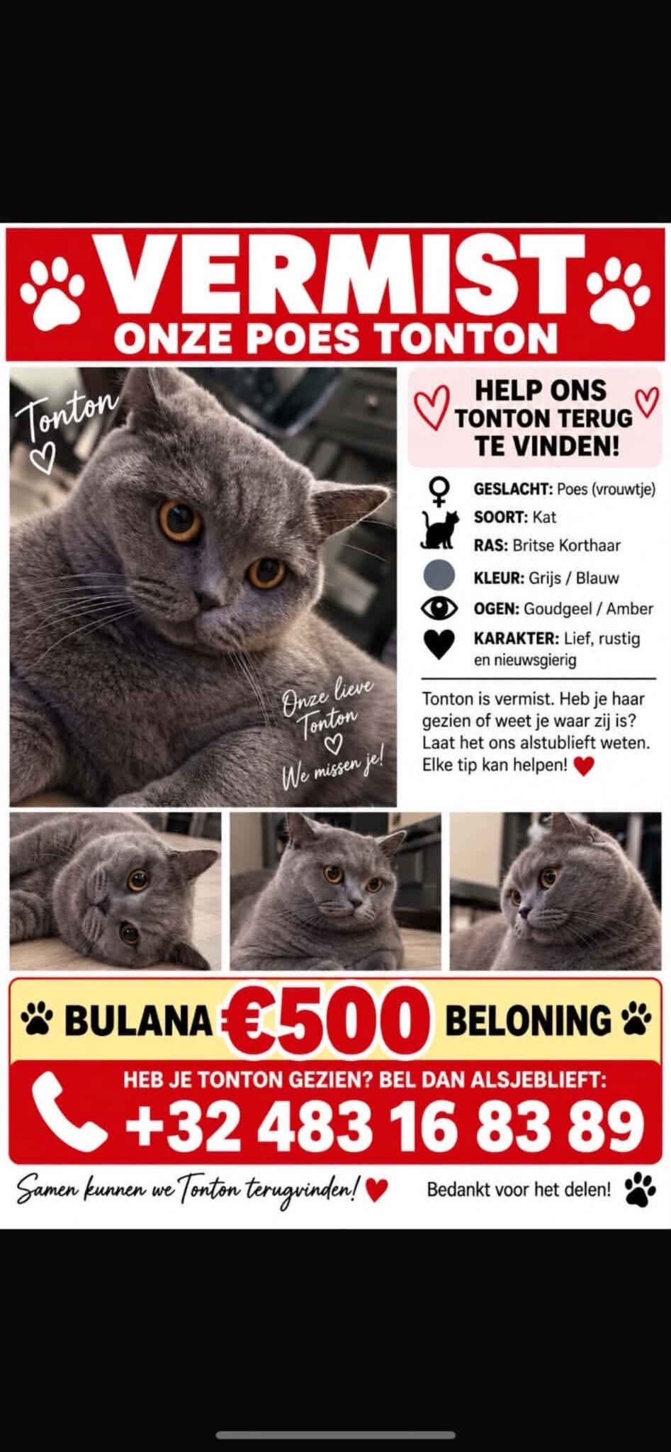 Foto van het dier