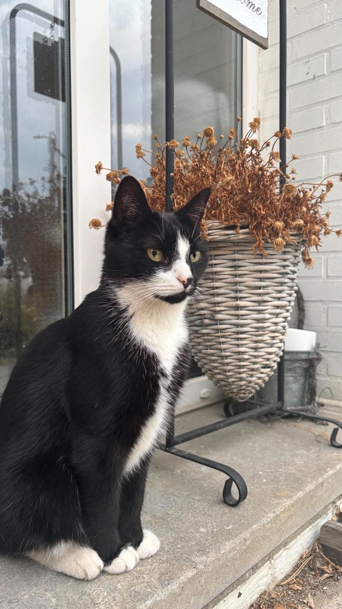 Foto van het dier