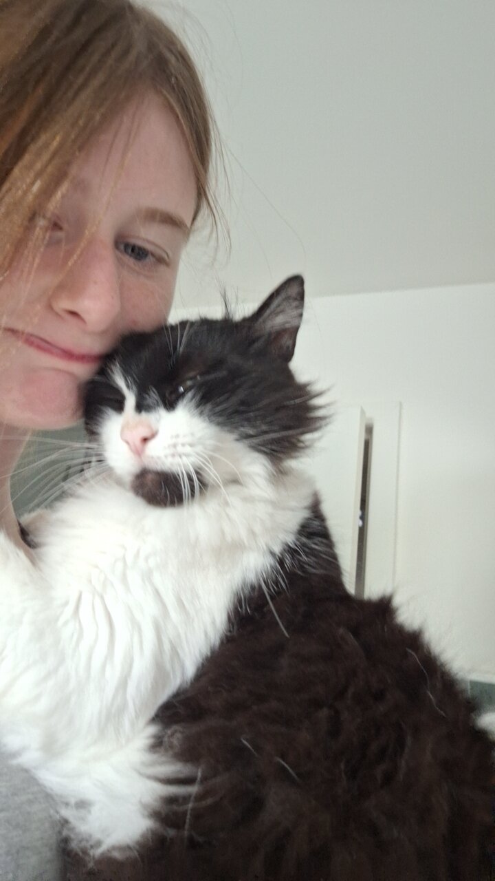 Foto van het dier
